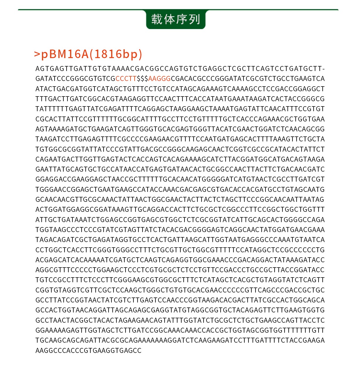 1733294780475701.jpg